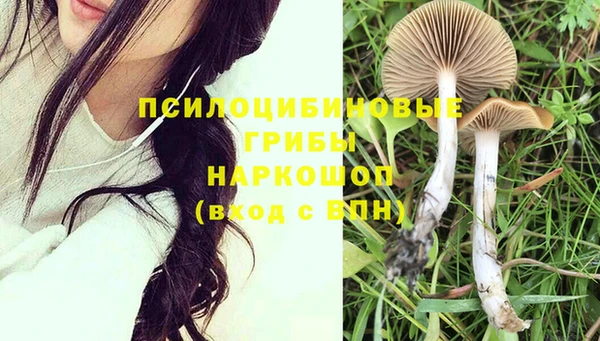 МДПВ Белокуриха