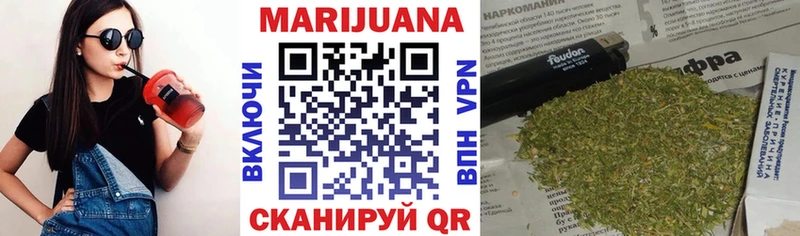 Купить закладки  Лодейное Поле  Конопля сатива 